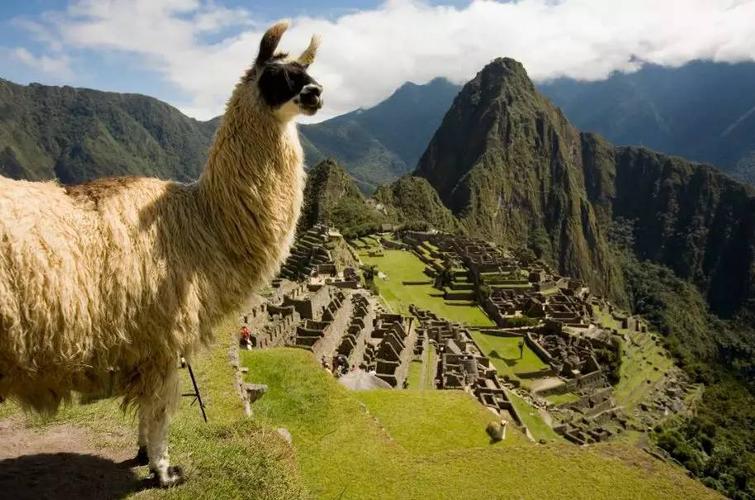 消息来源:yoho! 秘鲁开拓中国旅游业务,南美游日渐流行